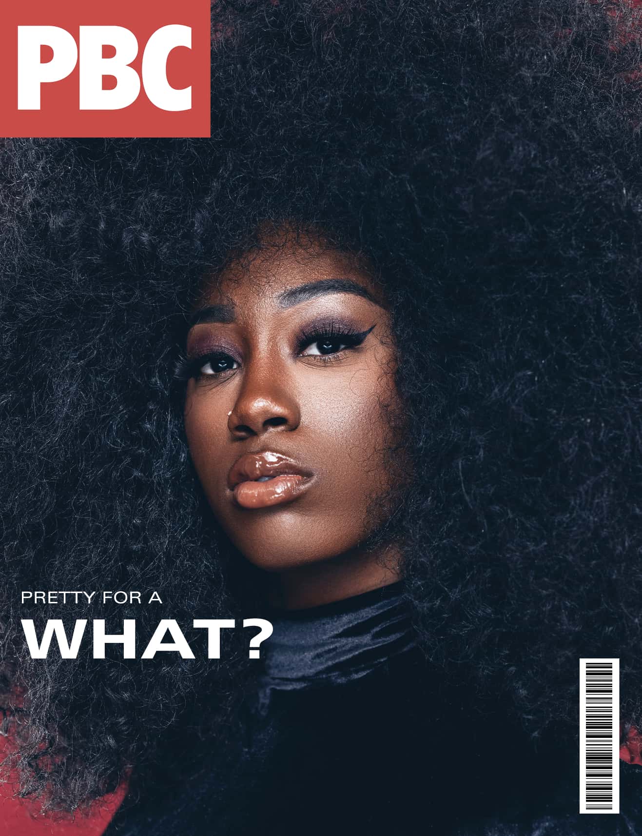 Magazine